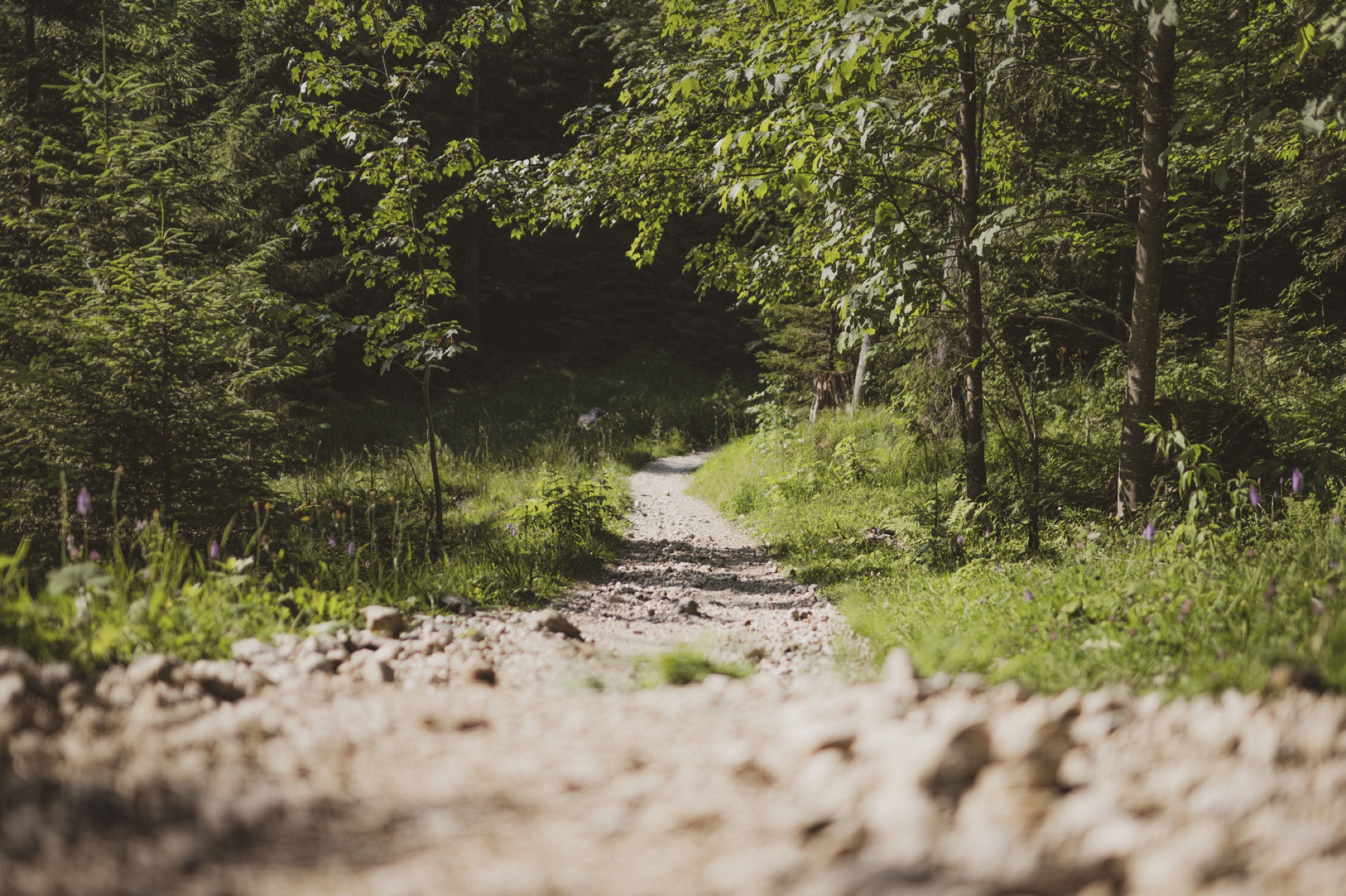 Naturmotiv für Termine und Veranstaltungen
